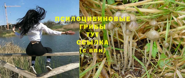 дживик Михайловск