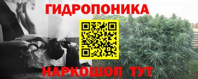 альфа пвп Гусев