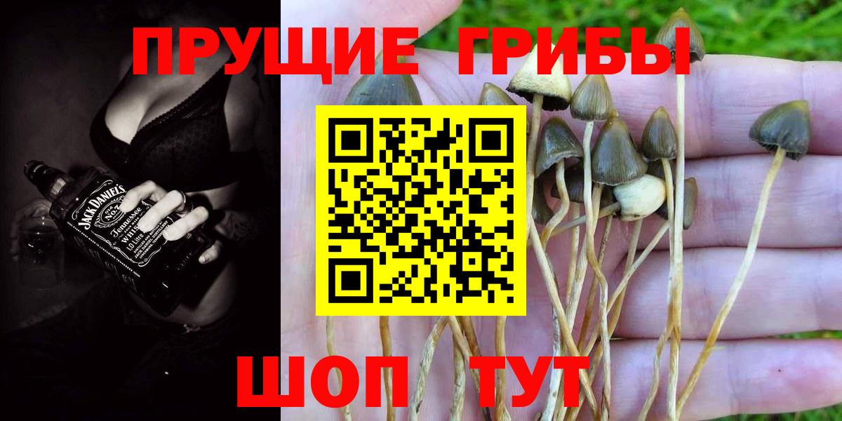 Псилоцибиновые грибы GOLDEN TEACHER Мурманск