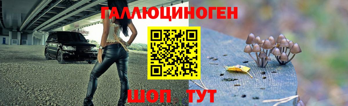 Мурманск  Псилоцибиновые грибы мухоморы  Вход с VPN 